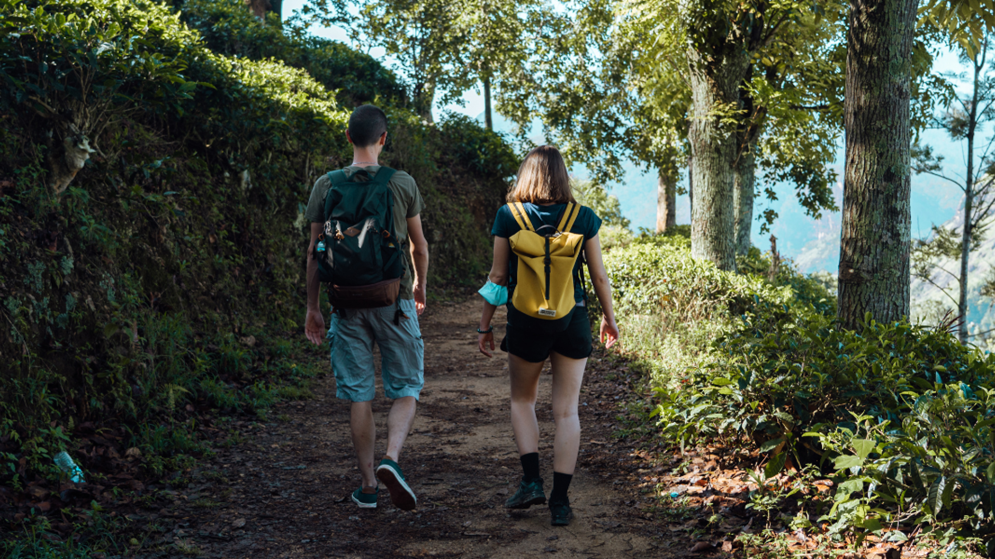 Le panorama depuis Little Adam's Peak, Ella, Jour 6