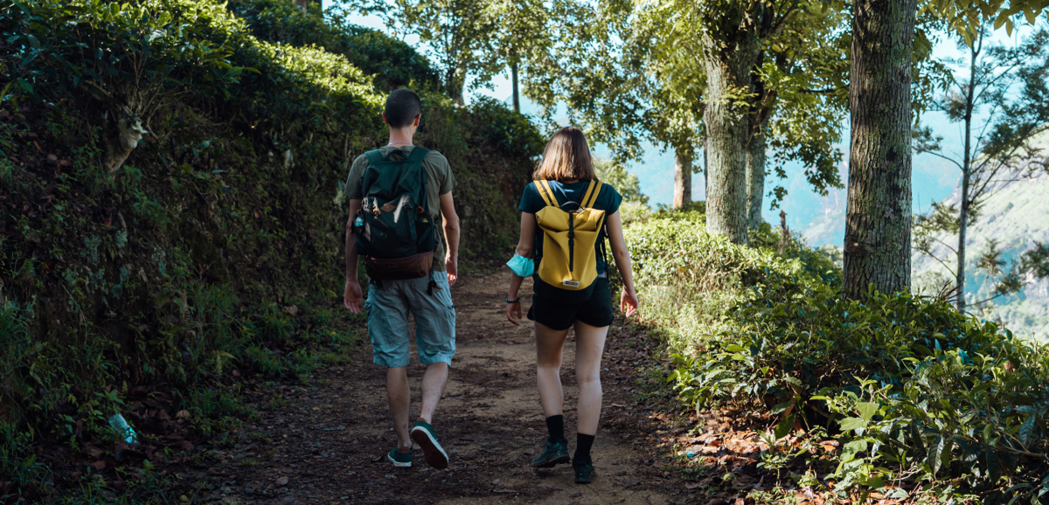 Le panorama depuis Little Adam's Peak, Ella, Jour 6