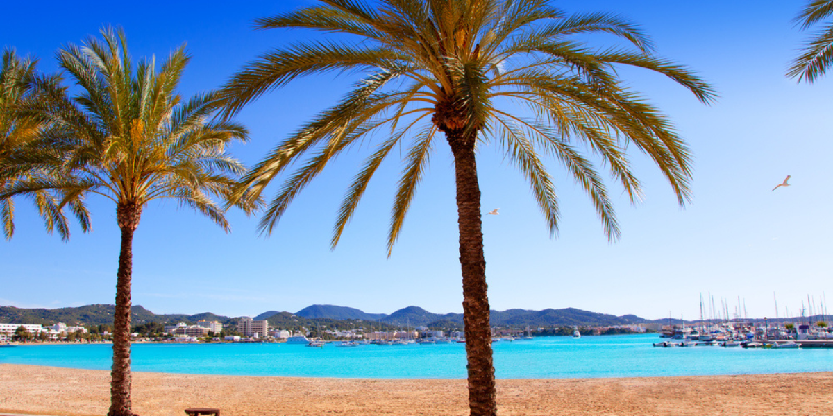Chillez sur la plage près de votre hôtel, à Sant Antony de Portmany