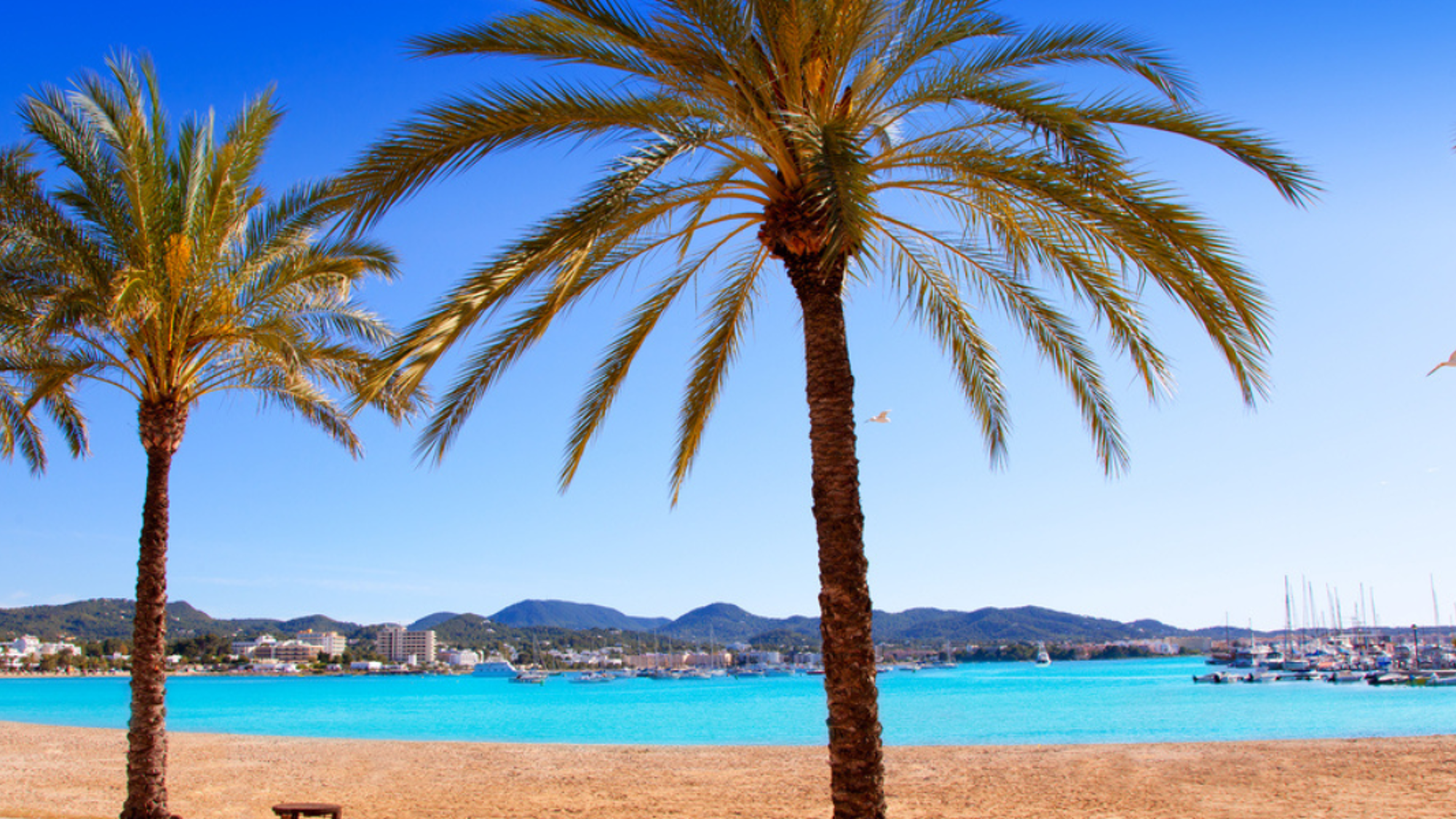 Chillez sur la plage près de votre hôtel, à Sant Antony de Portmany