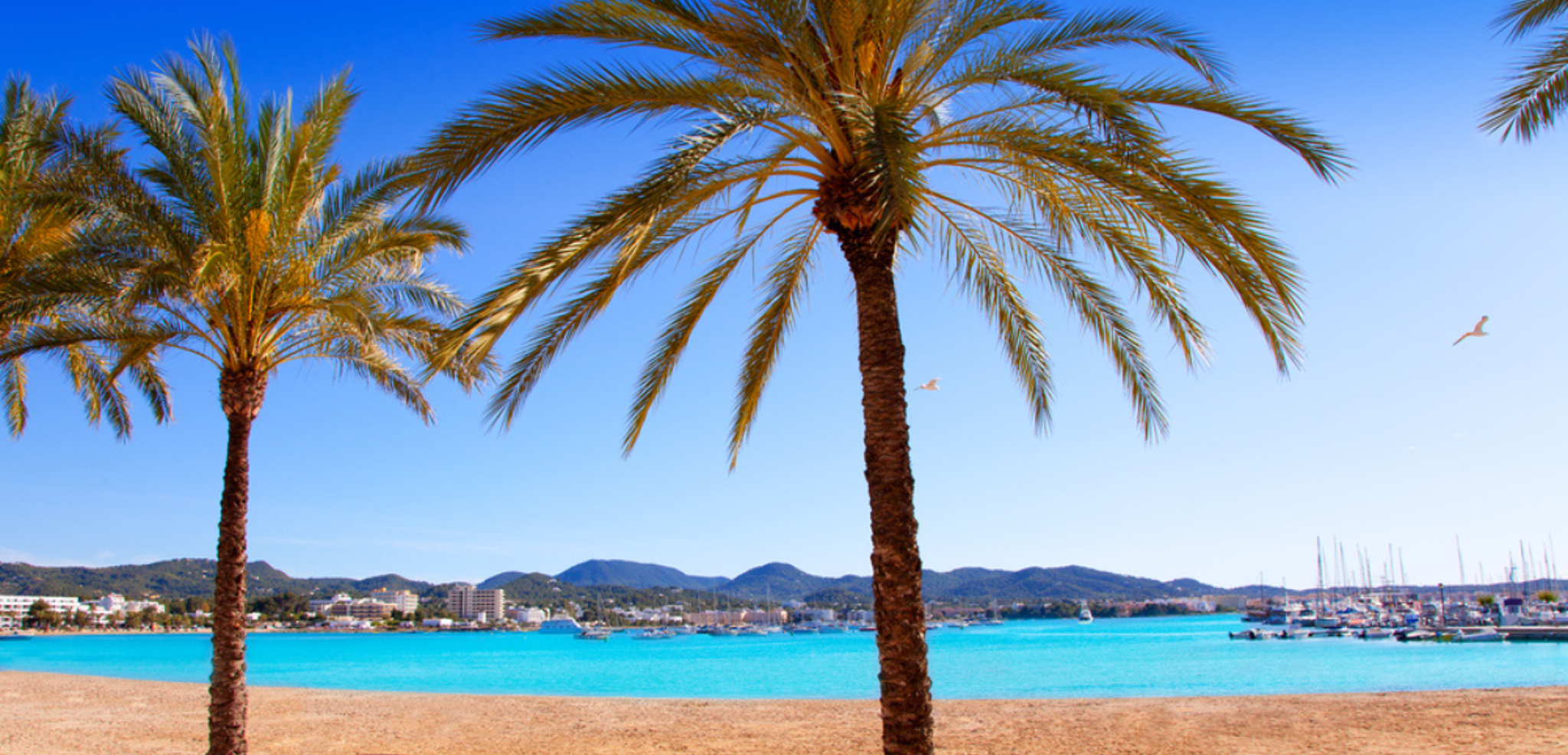 Chillez sur la plage près de votre hôtel, à Sant Antony de Portmany