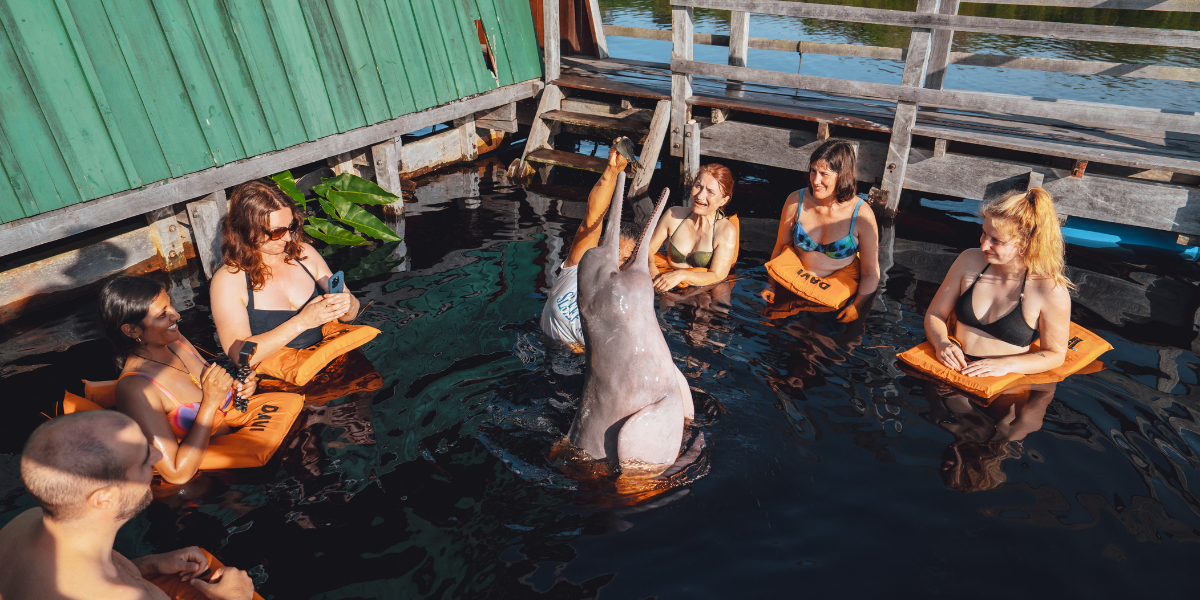 Nouvelle baignade avec les dauphins roses