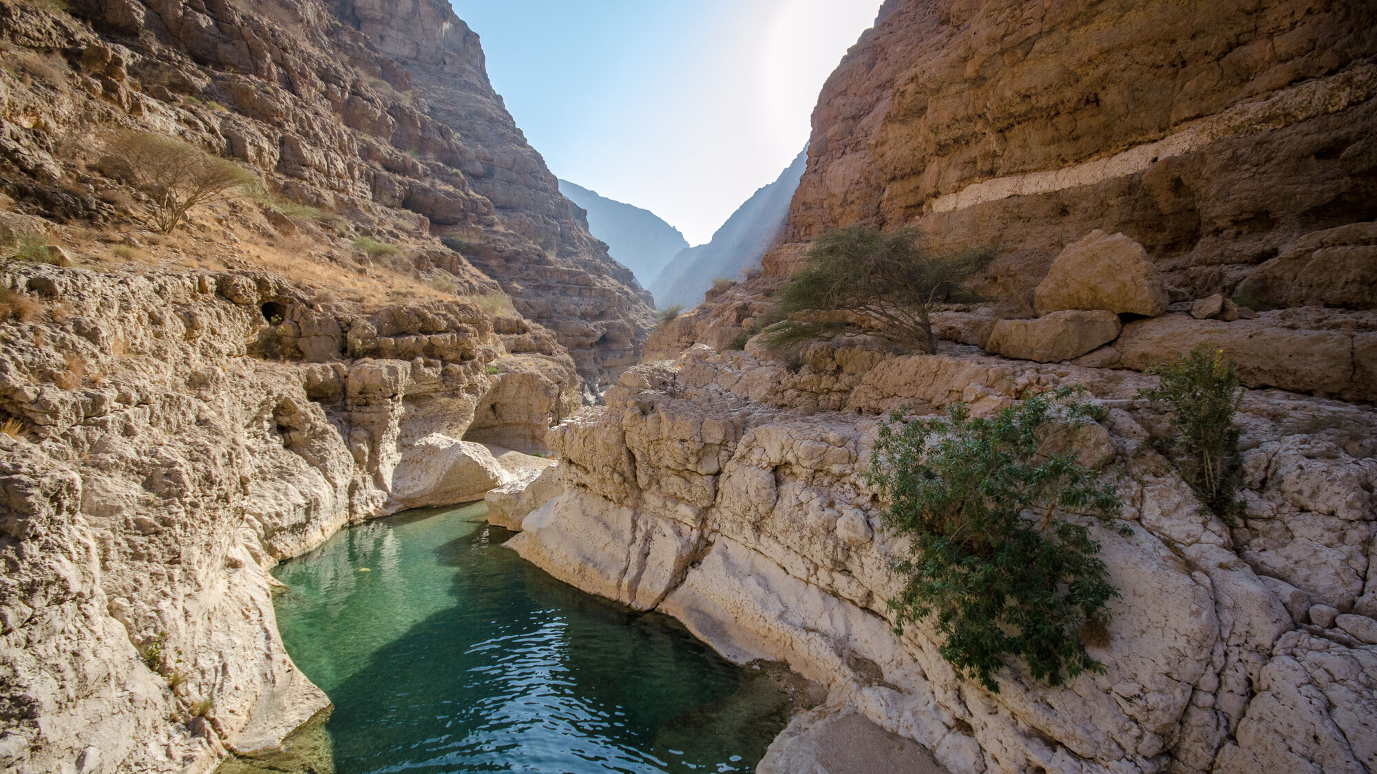 Découvrez les Wadi...