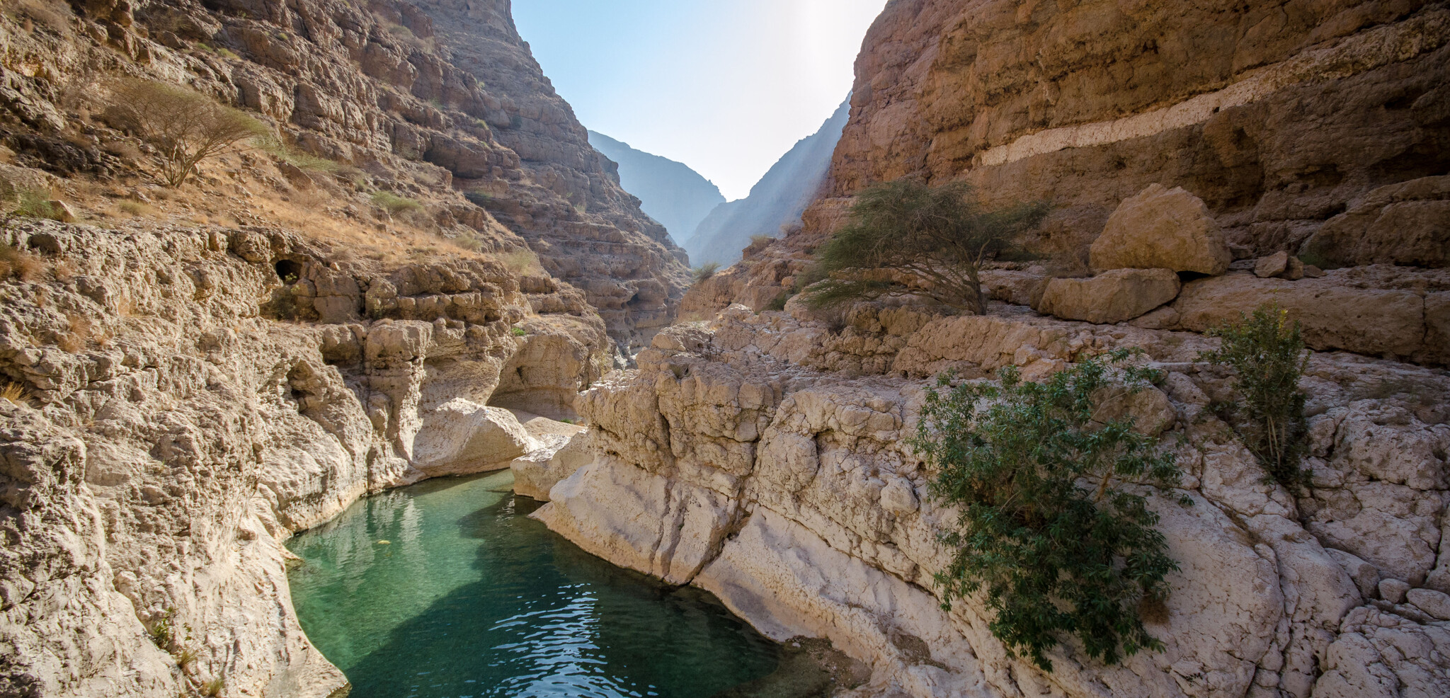 Découvrez les Wadi...