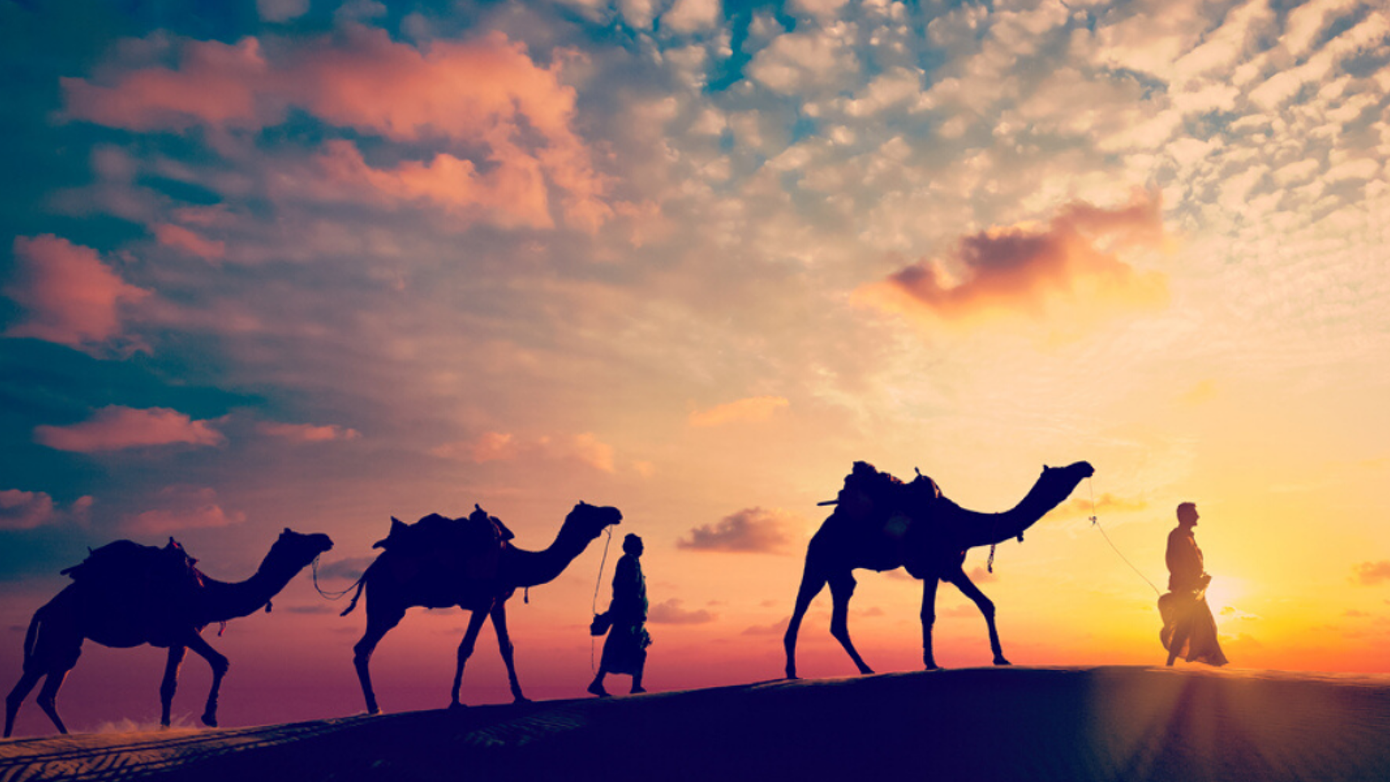 Balade à dos de chameau dans le désert de Siana