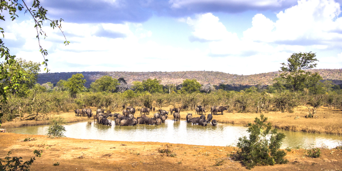 Bienvenue en Afrique du Sud pour une aventure multi-activités ! 