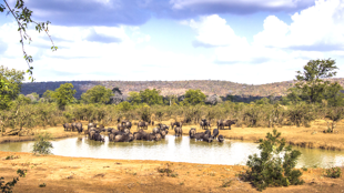 Bienvenue en Afrique du Sud pour une aventure multi-activités !