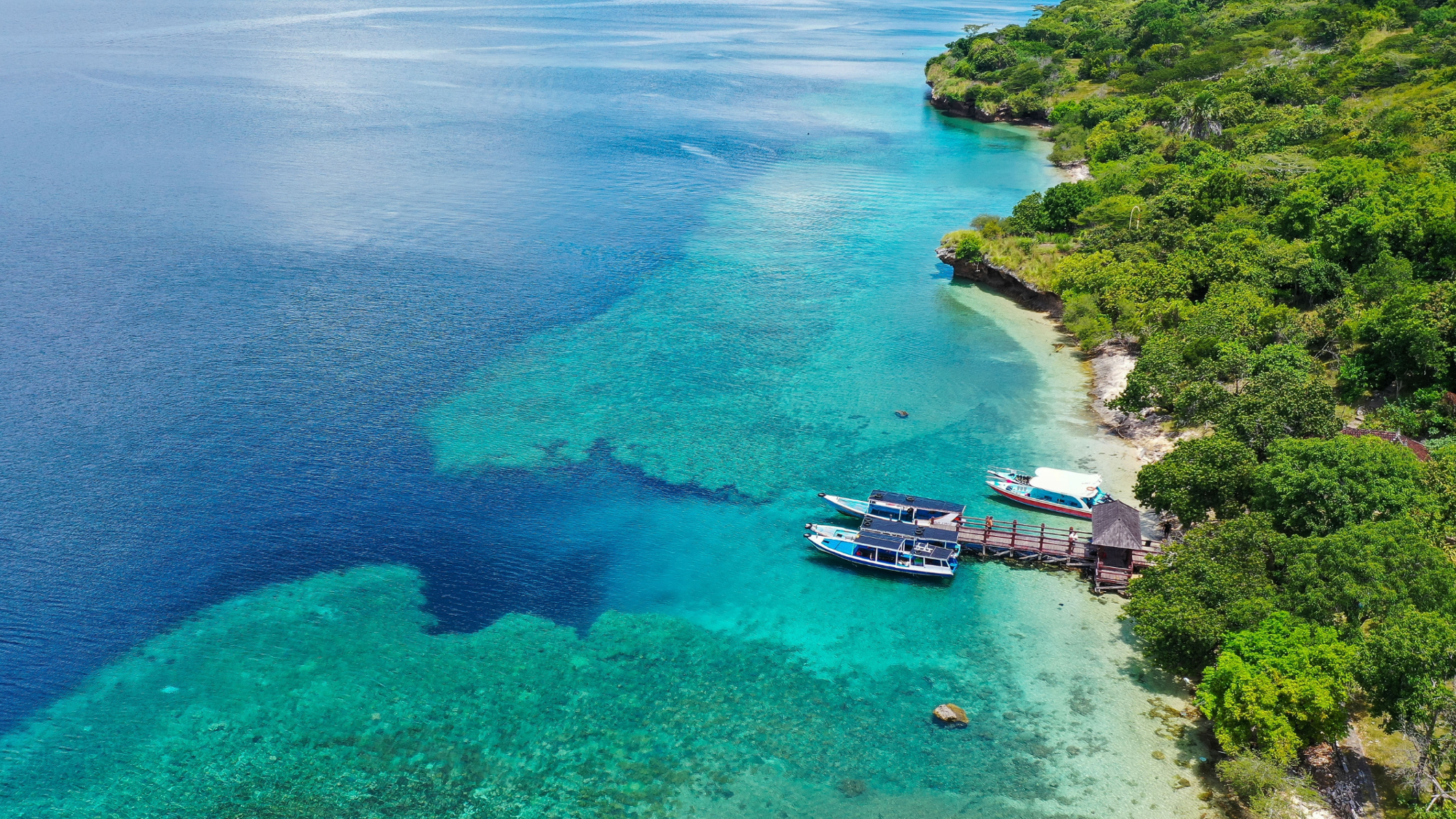 Snorkeling, Menjangan, Bali, Indonésie ©Shutterstock.com