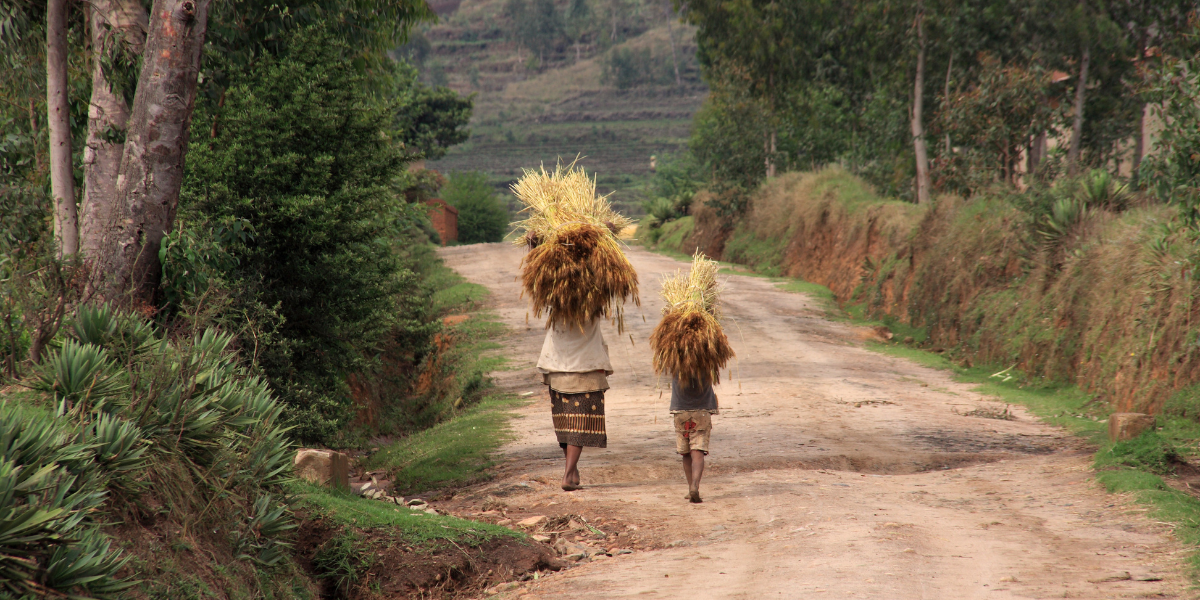 Campagne malgache, Madagascar 