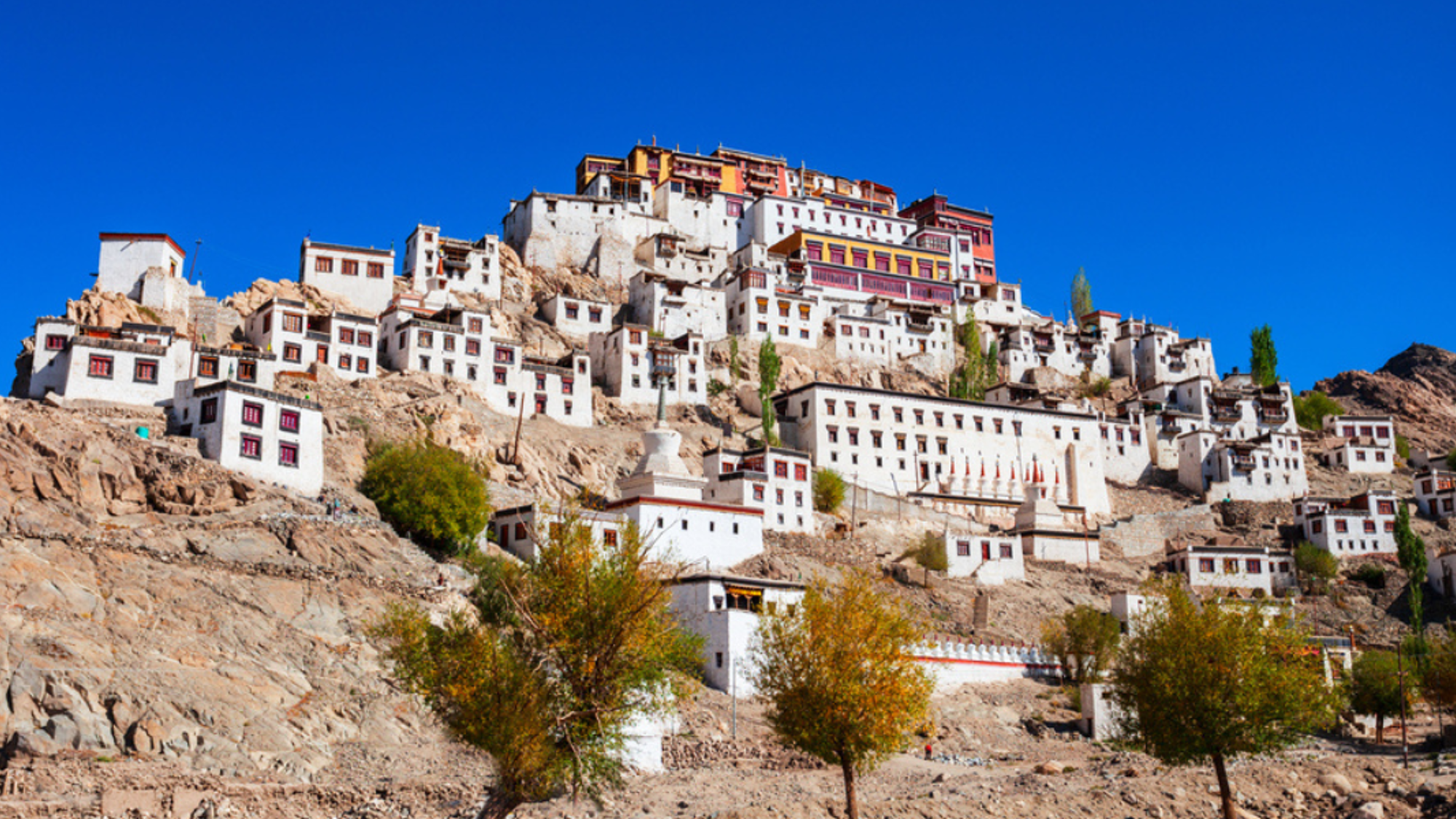 Le monastère de Thiksey