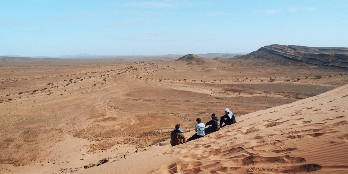 Et admirez les paysages grandioses du désert 