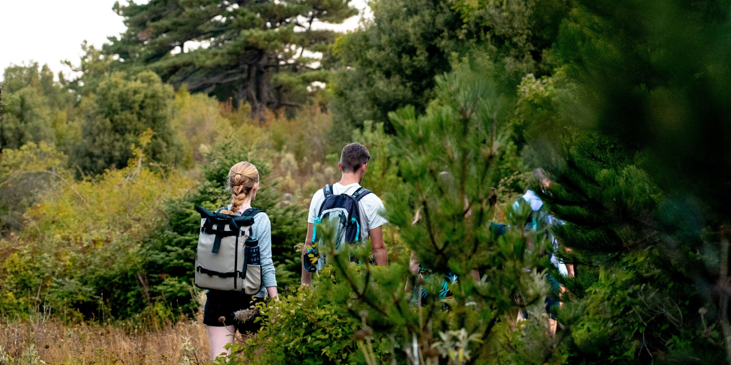 Parc national de Llogara, Albanie ©Maxime Moreau