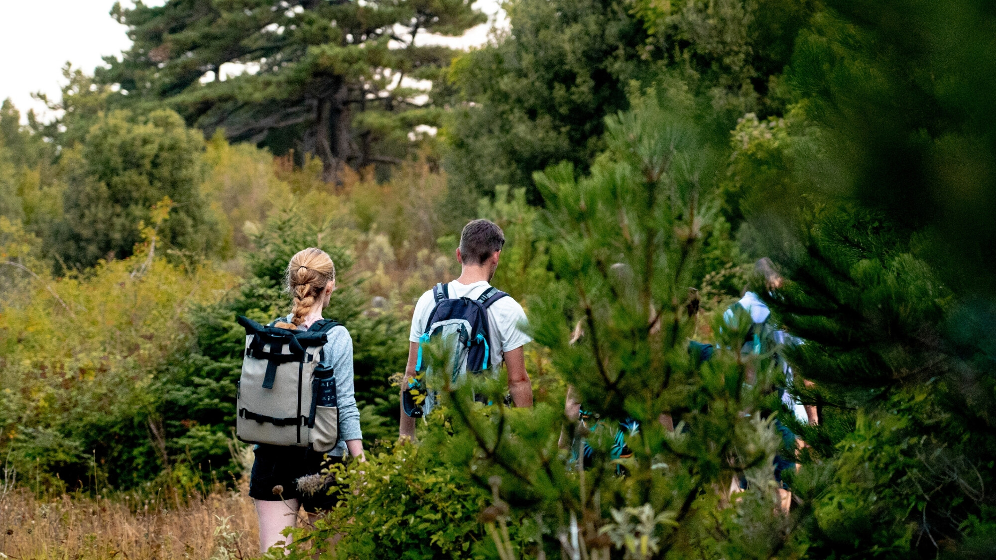 Parc national de Llogara, Albanie ©Maxime Moreau