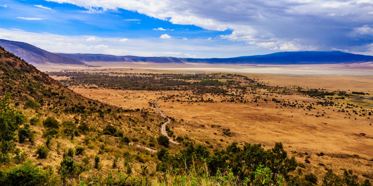 Découvrez les paysages tanzaniens : le fabuleux cratère de Ngorongoro 