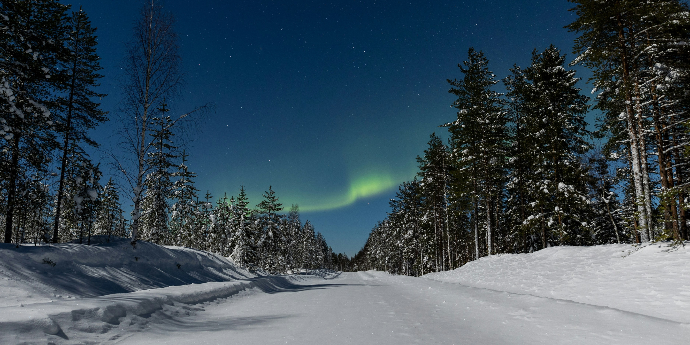Et retrouvez vos compagnons à 4 pattes pourAurores boréales, Finlande (phénomène imprévisible) une cani-rando 