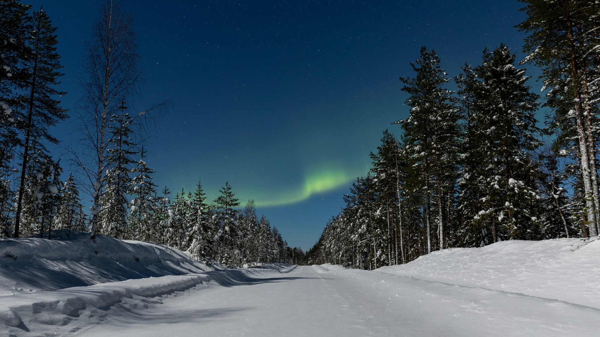 Et retrouvez vos compagnons à 4 pattes pourAurores boréales, Finlande (phénomène imprévisible) une cani-rando