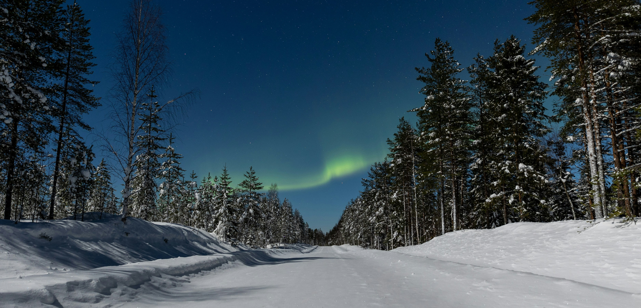 Et retrouvez vos compagnons à 4 pattes pourAurores boréales, Finlande (phénomène imprévisible) une cani-rando