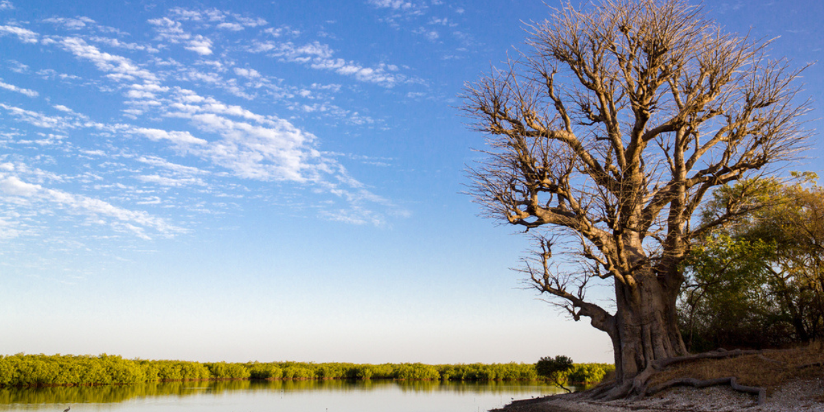 Faites une pause à l'île de Dionewar