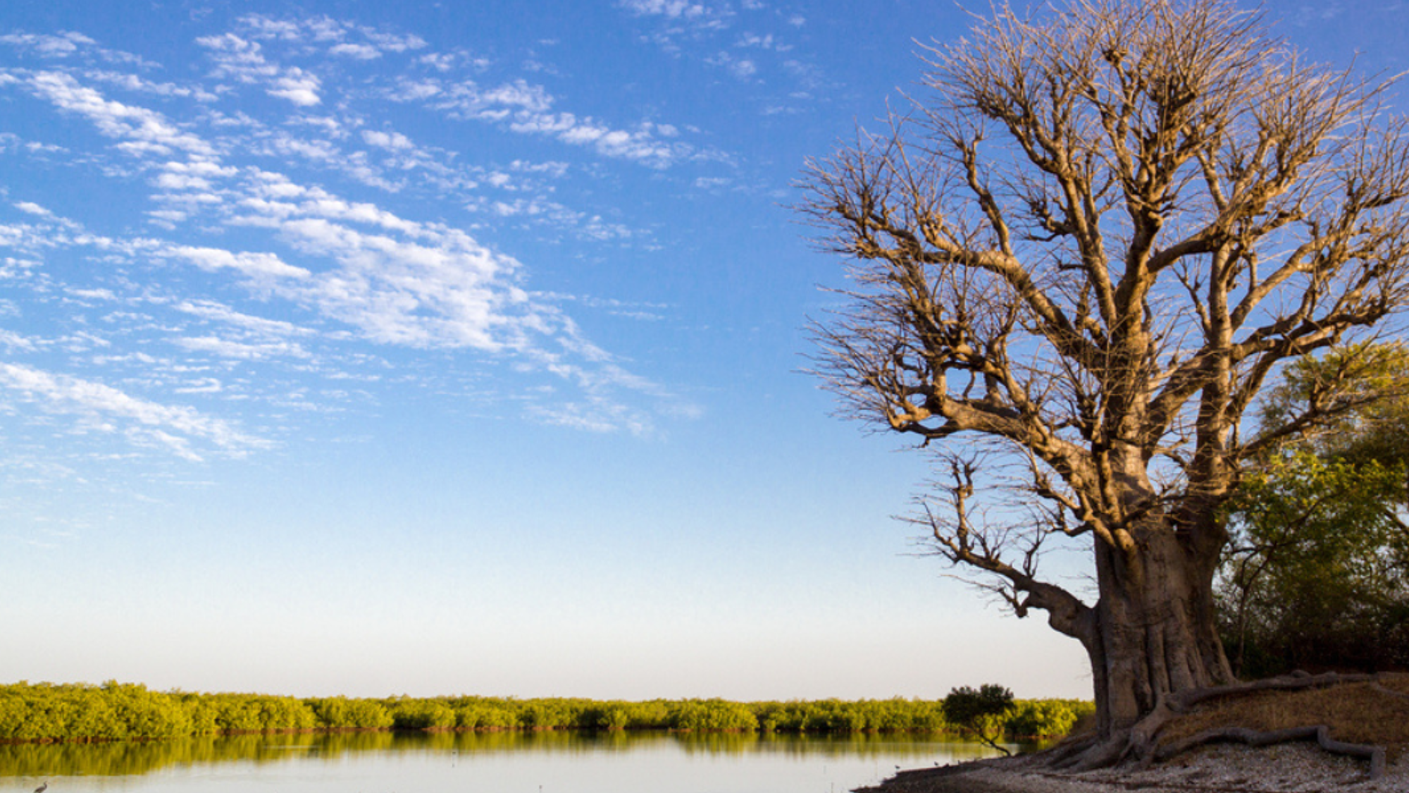 Faites une pause à l'île de Dionewar
