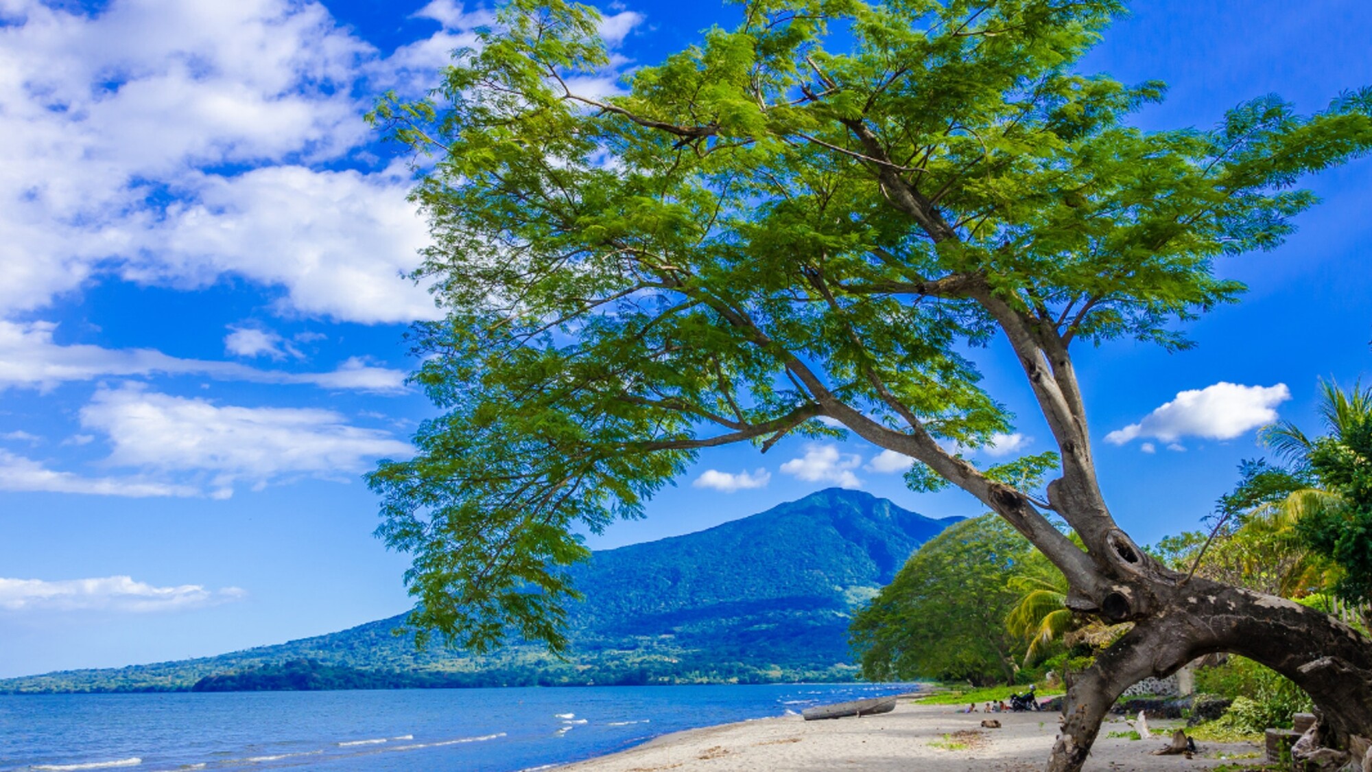 Marchez le long de la fameuse plage de Santo Domingo !