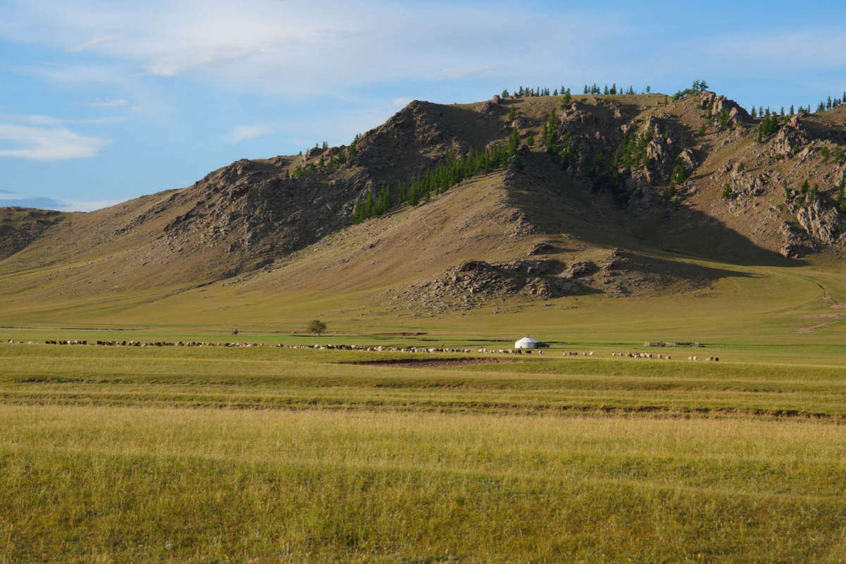 Mongolie 