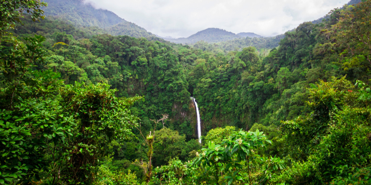 Une nature exubérante...