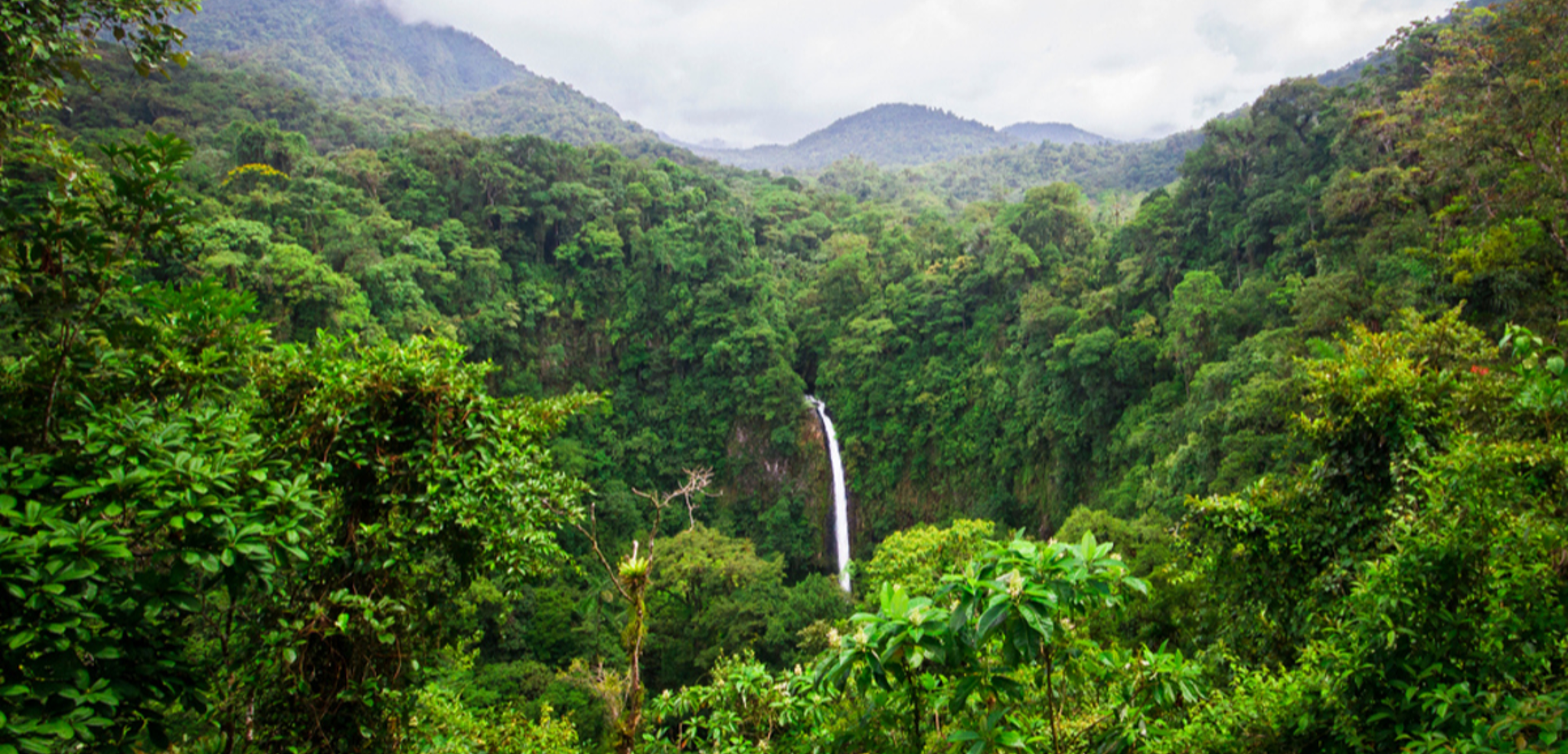 Une nature exubérante...