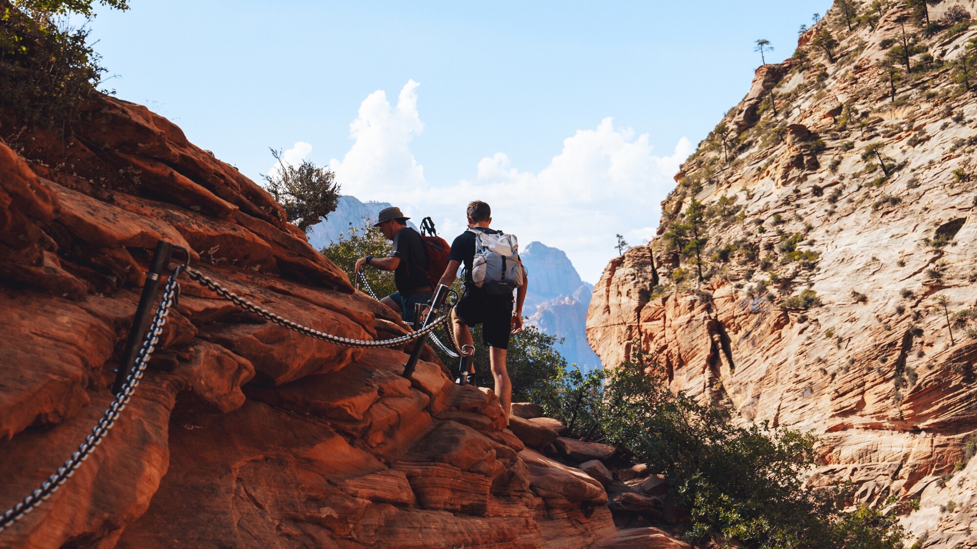 Zion National Park, Utah, USA