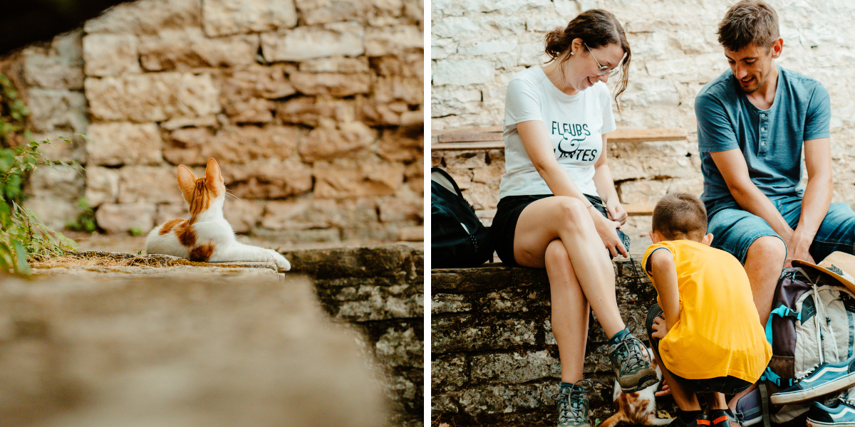 Parsemées de rencontres 