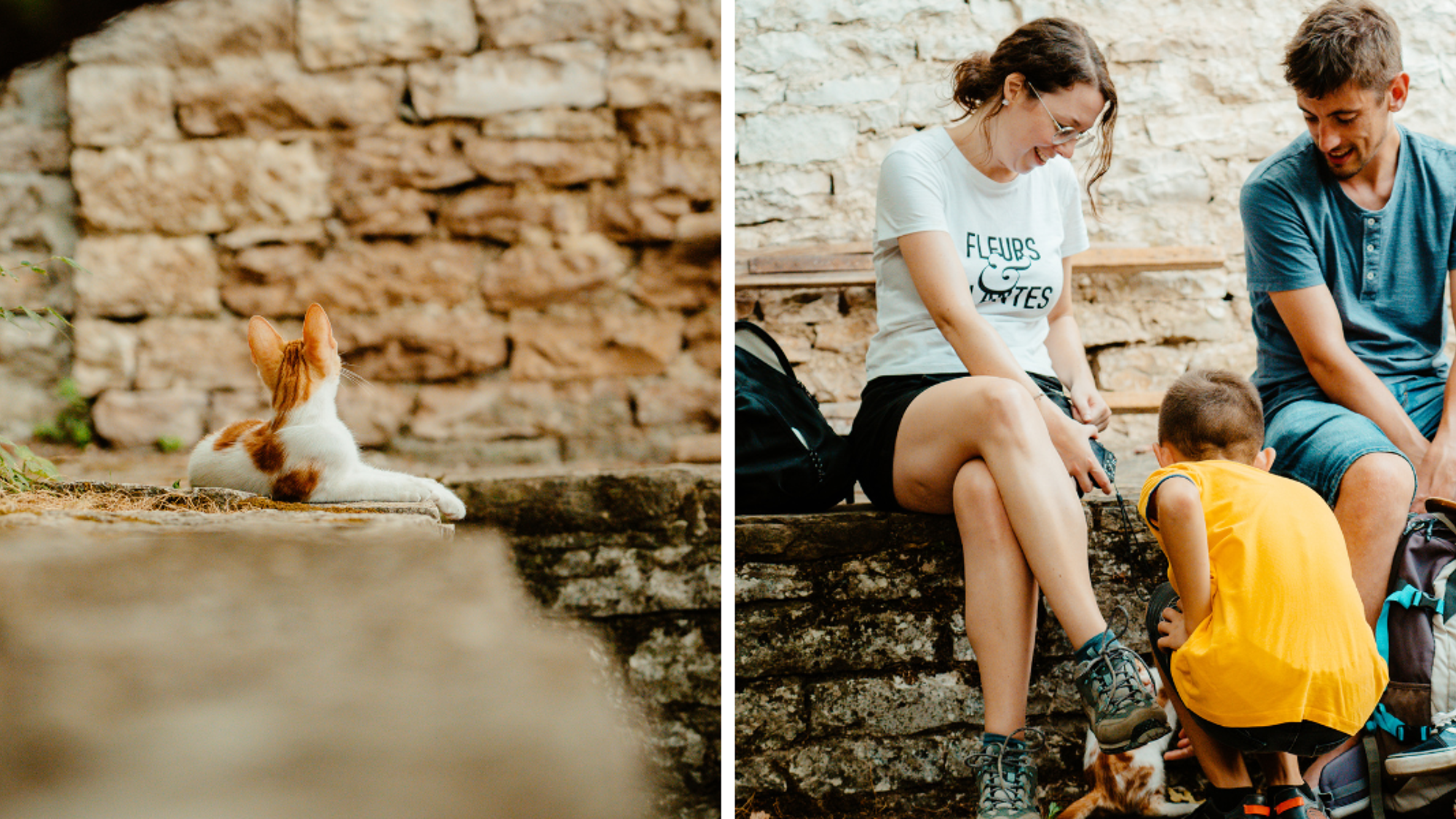 Parsemées de rencontres