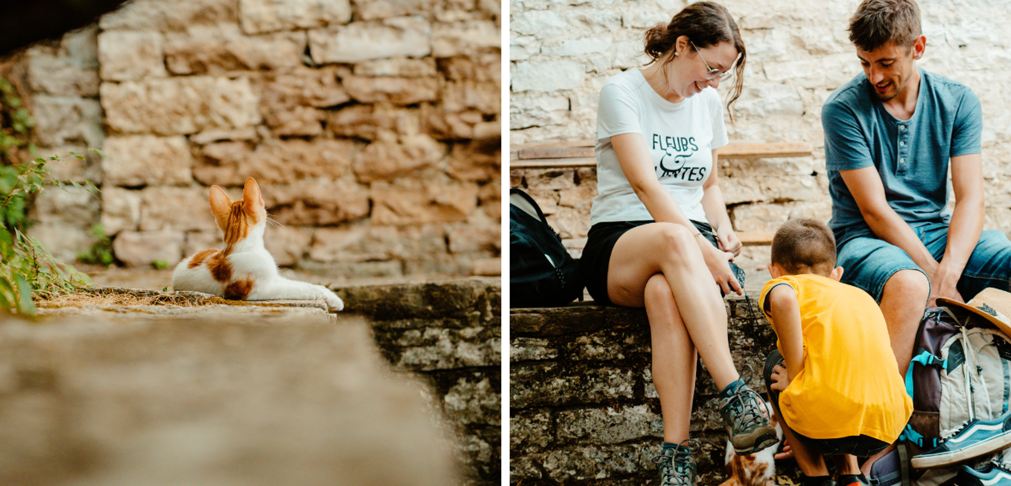 Parsemées de rencontres