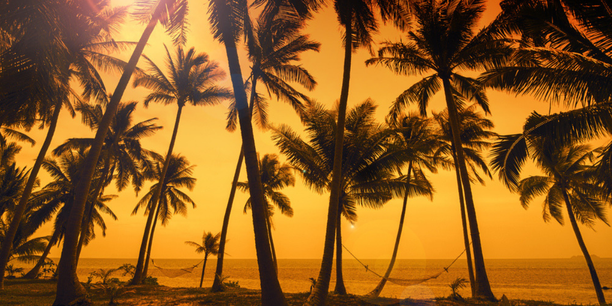 Pour un peu de repos bien mérité !