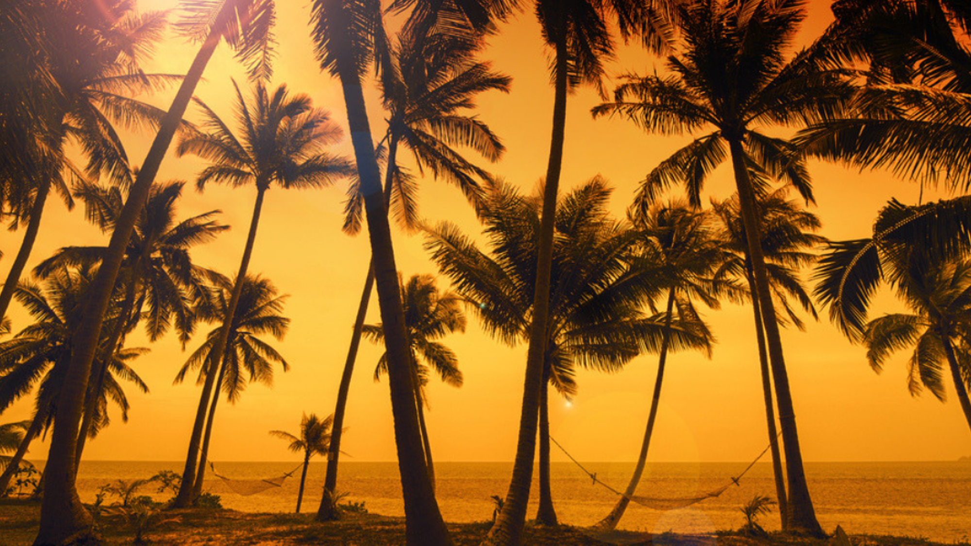 Pour un peu de repos bien mérité !