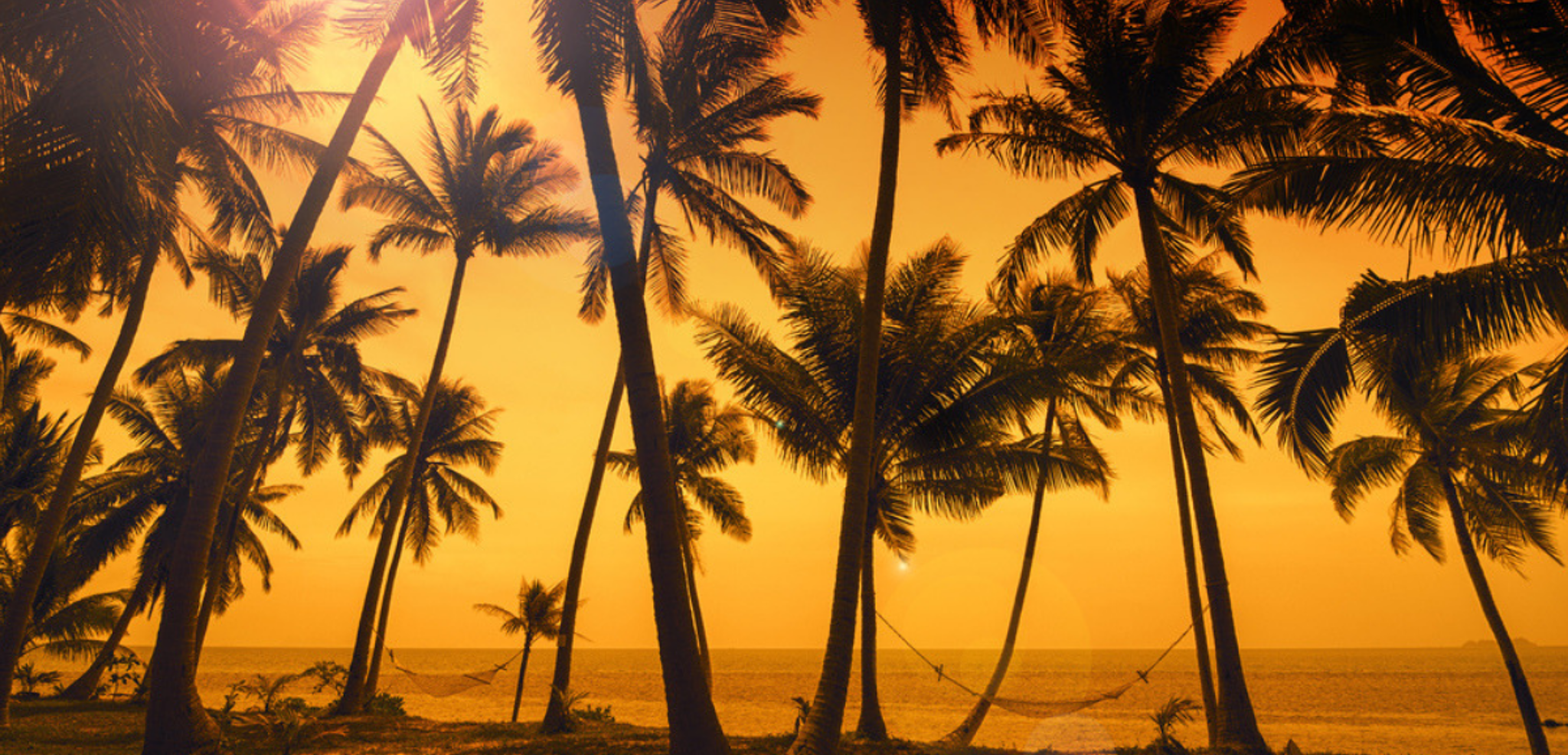 Pour un peu de repos bien mérité !