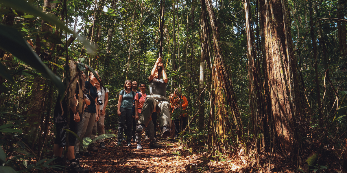 Partez en rando dans la jungle amazonienne