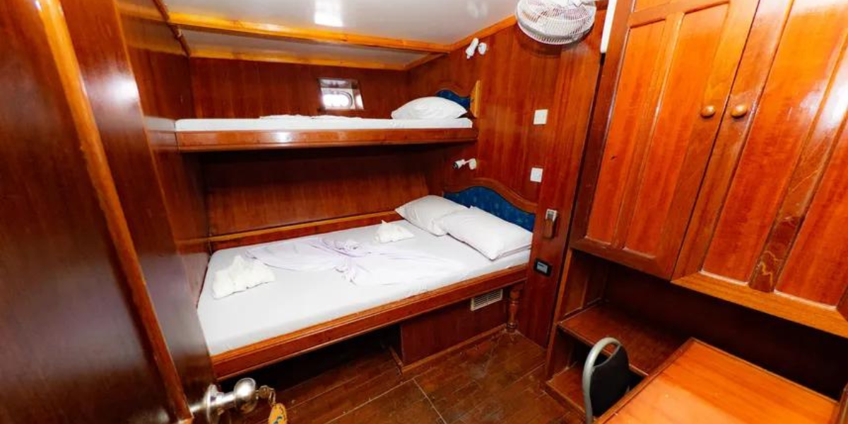Bateau Blue Shark I (ou similaire, selon date de départ) 