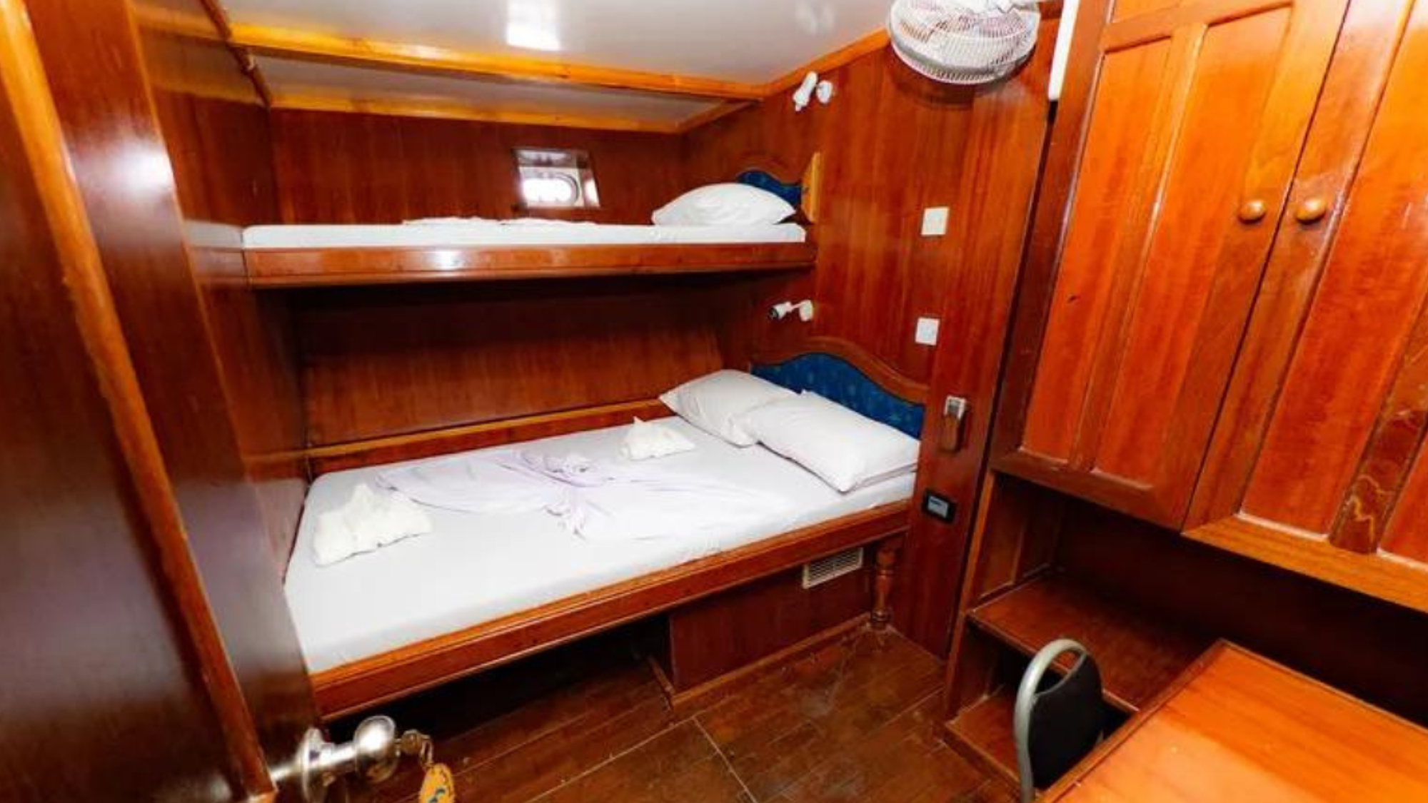 Bateau Blue Shark I (ou similaire, selon date de départ)