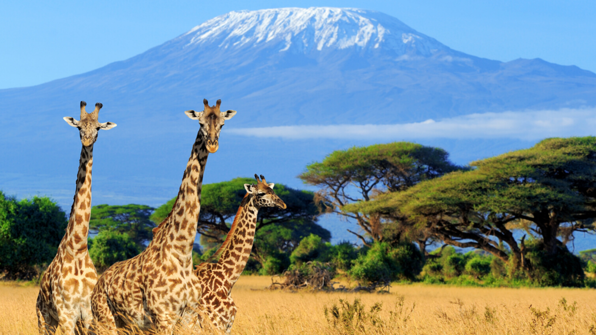 Bienvenue en Tanzanie !