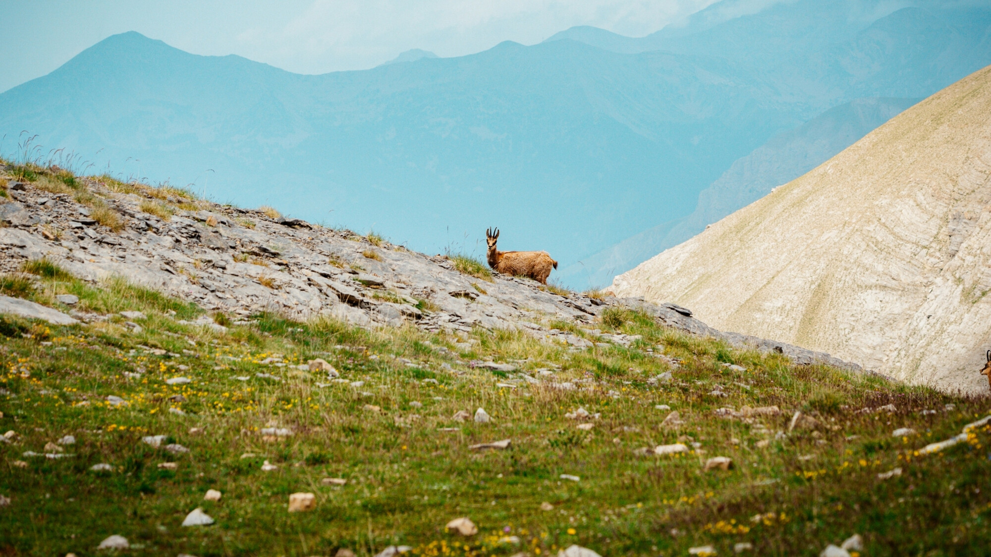 Vallée de l'Ubaye, Alpes du Sud, France ©Maxime Moreau