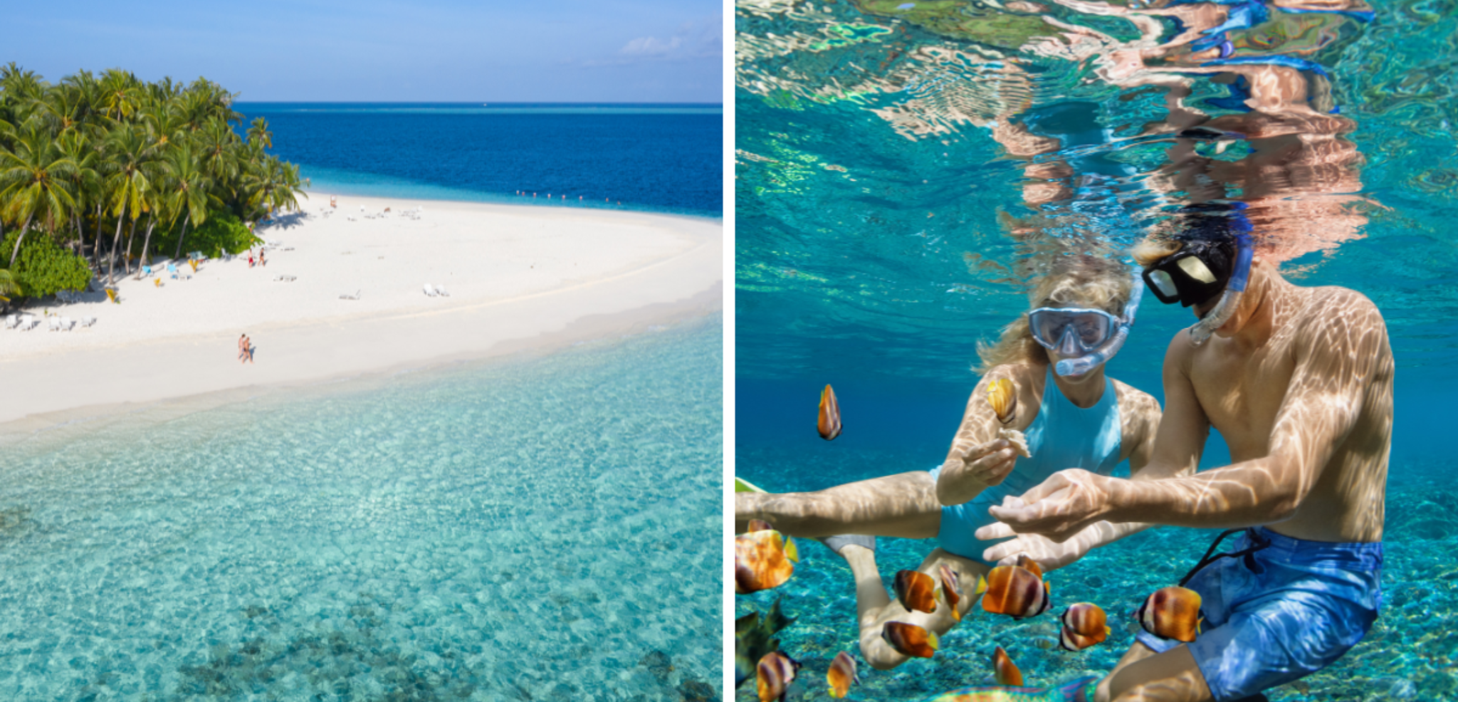 Pour une semaine de snorkeling paradisiaques !