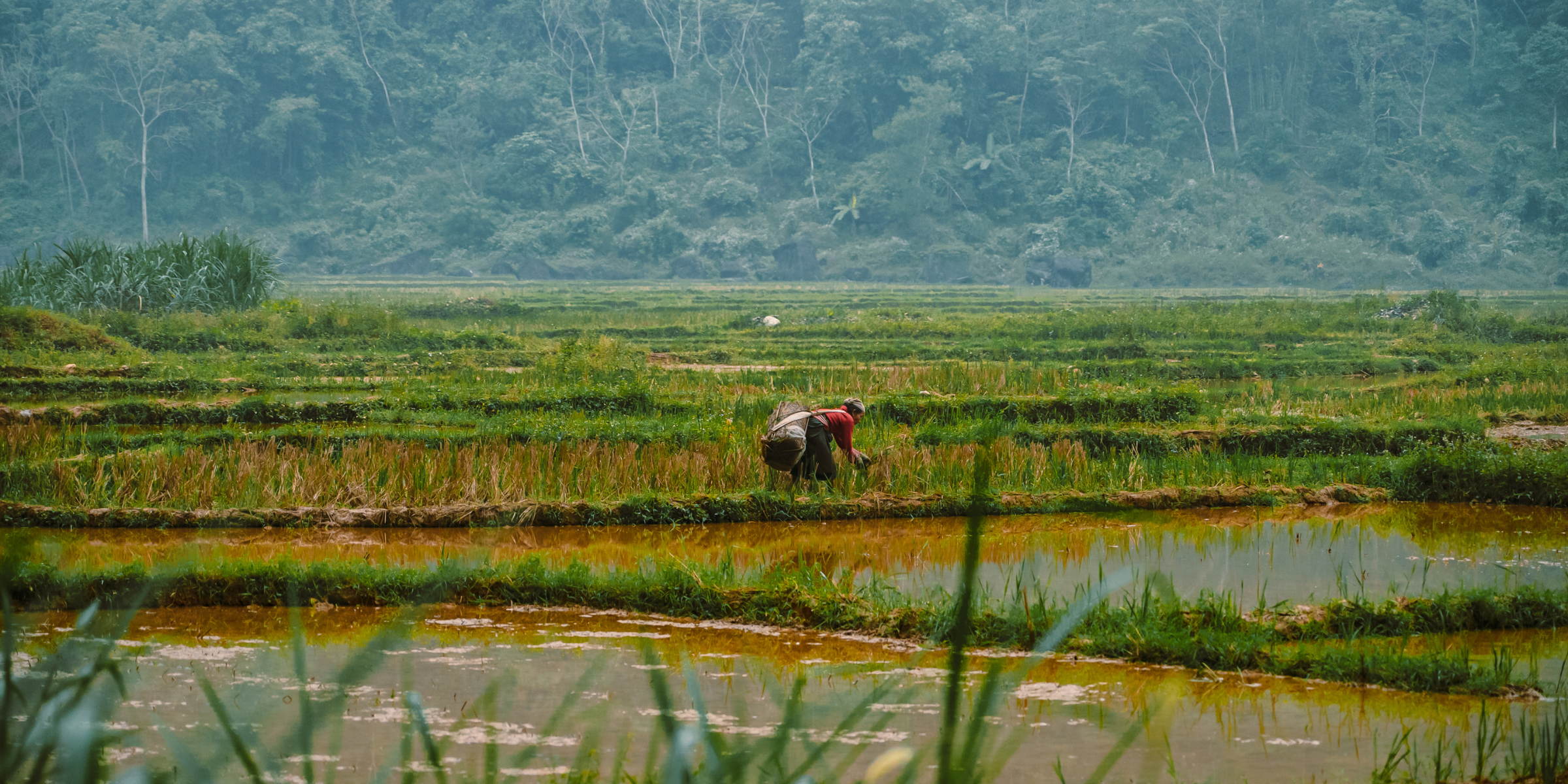 Trek et vélo, Vietnam ©Maxime Moreau 