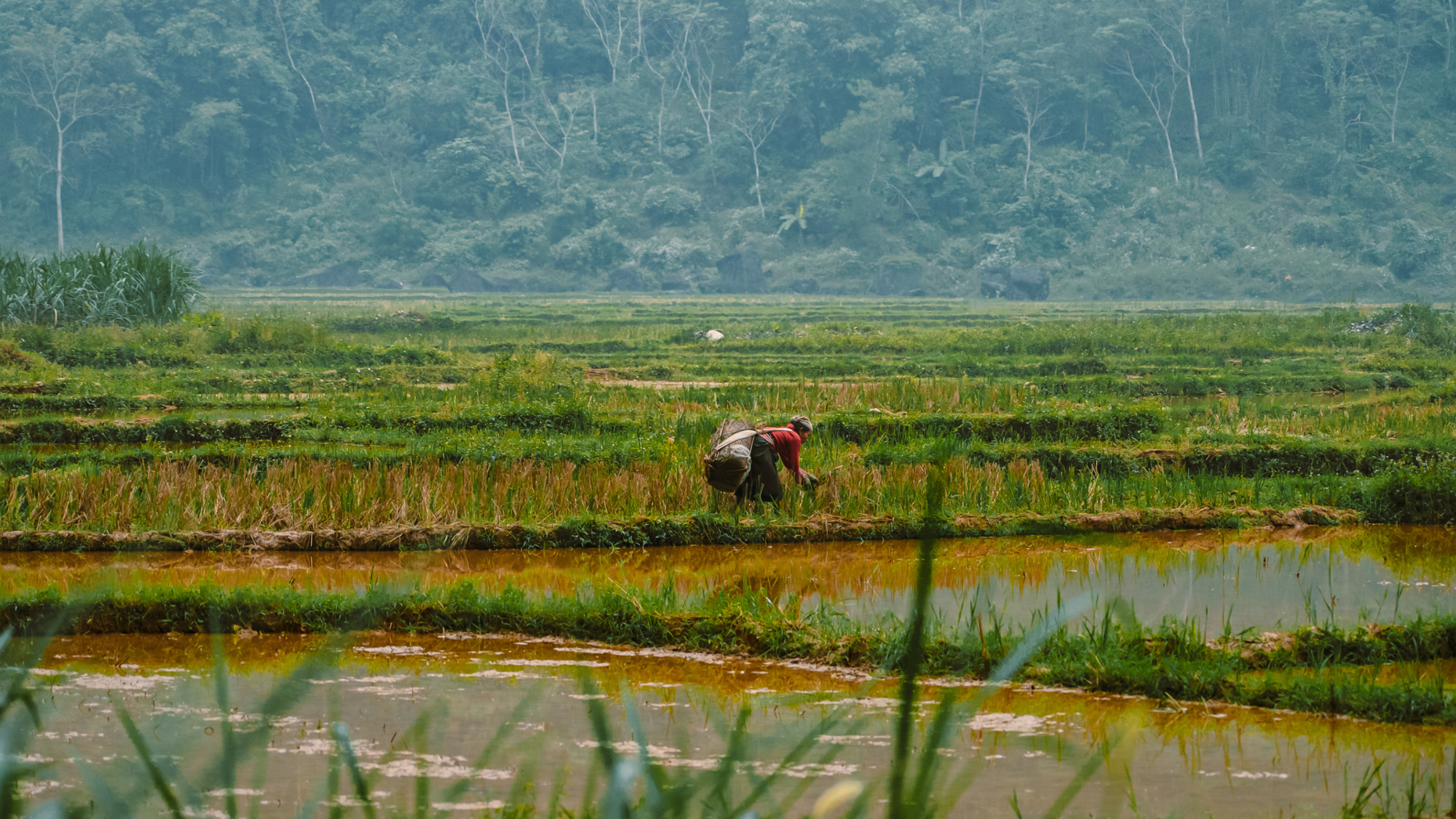 Trek et vélo, Vietnam ©Maxime Moreau