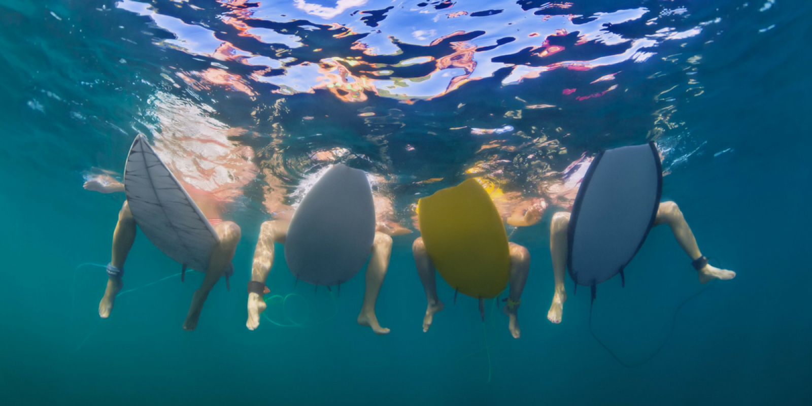 Et terminez la semaine comme un poisson dans l'eau !