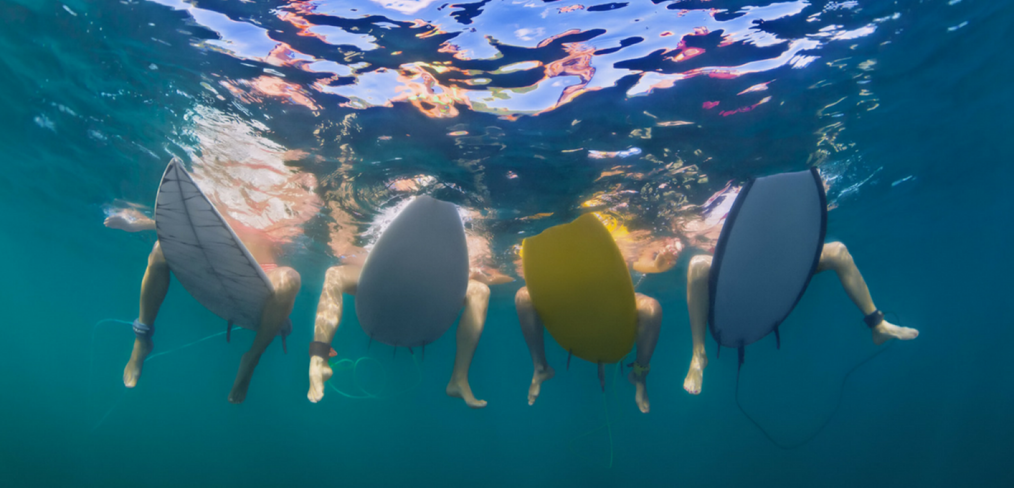 Et terminez la semaine comme un poisson dans l'eau !