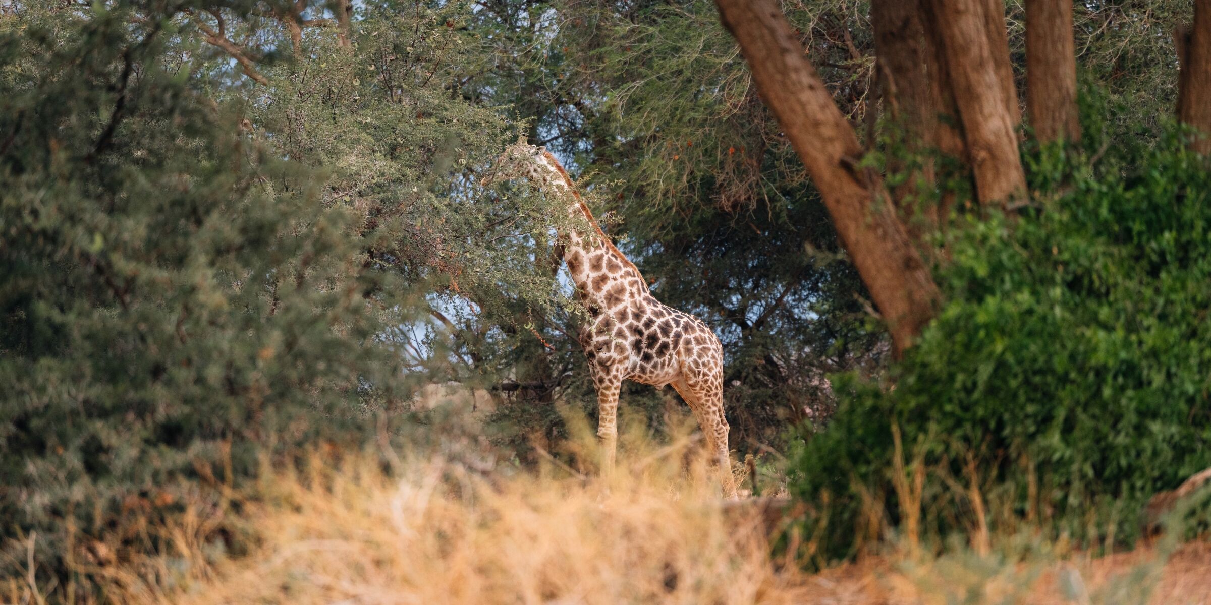 Rivière Ugab, Namibie ©Julien Fabro