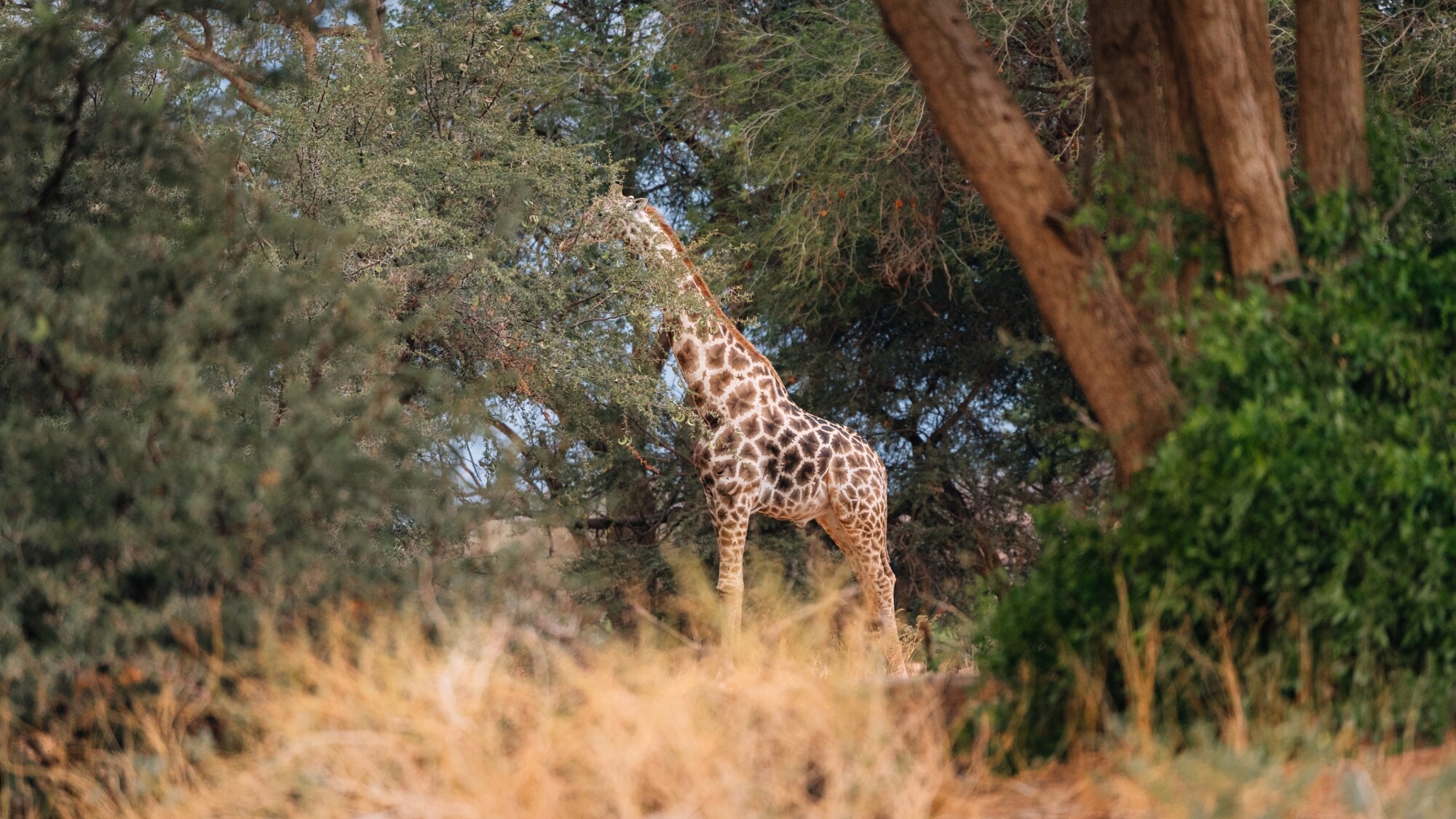 Rivière Ugab, Namibie ©Julien Fabro