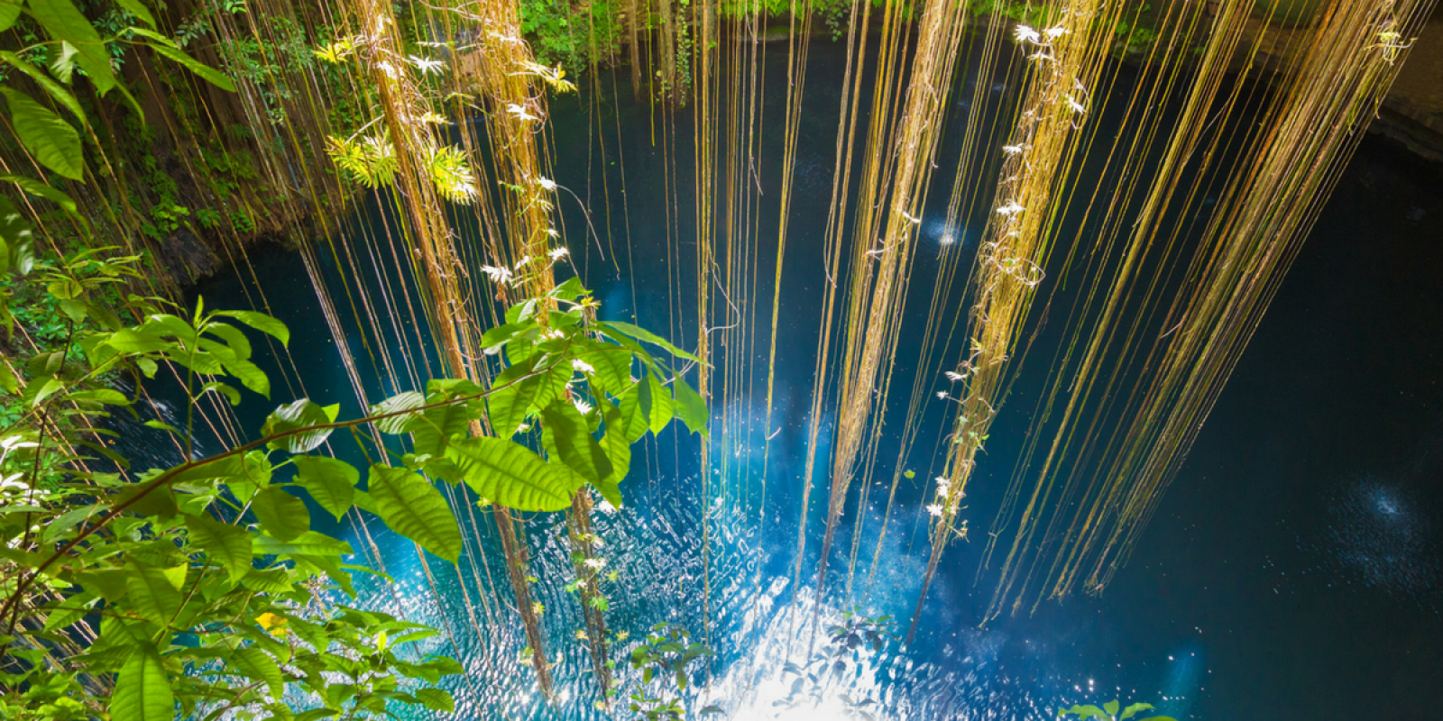 Pour une baignade insolite, comme au cenote Xcanche 