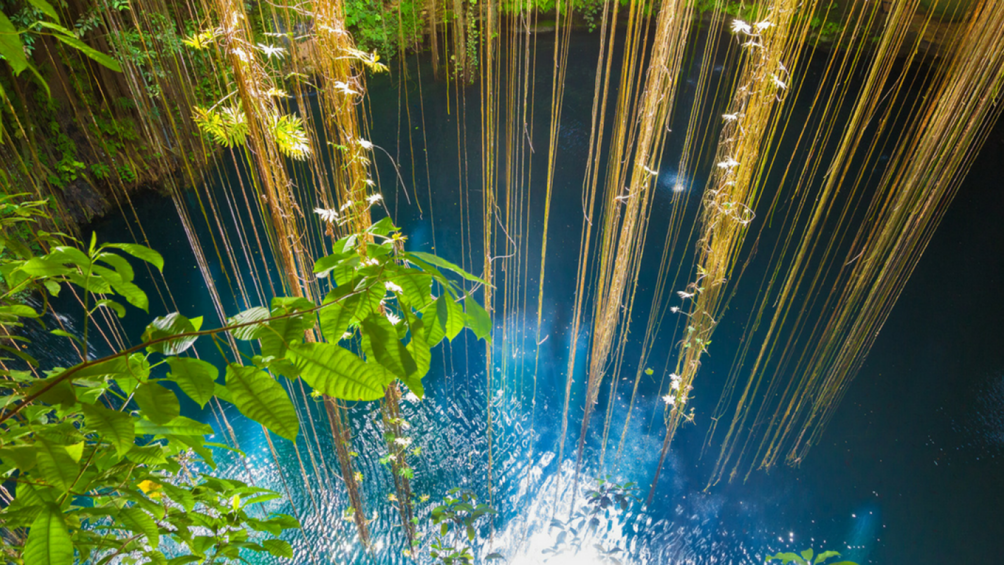 Pour une baignade insolite, comme au cenote Xcanche