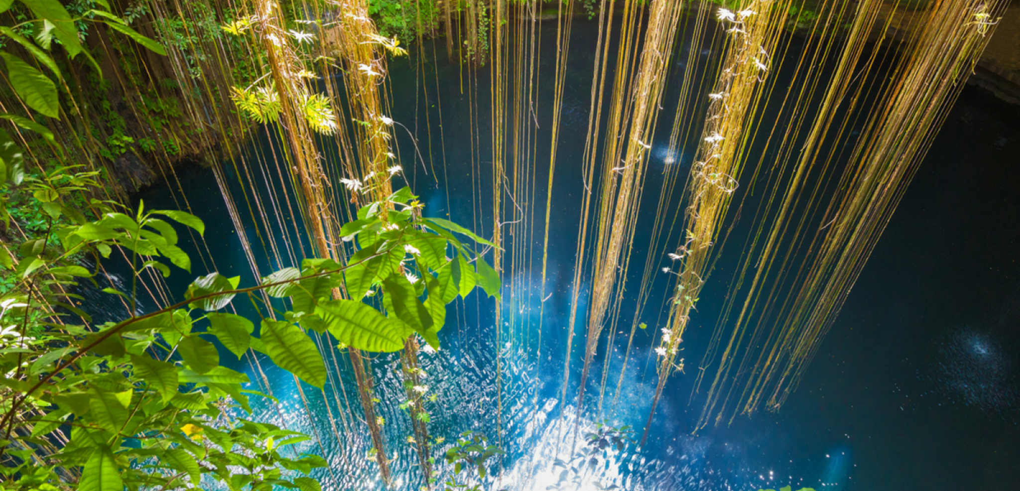 Pour une baignade insolite, comme au cenote Xcanche