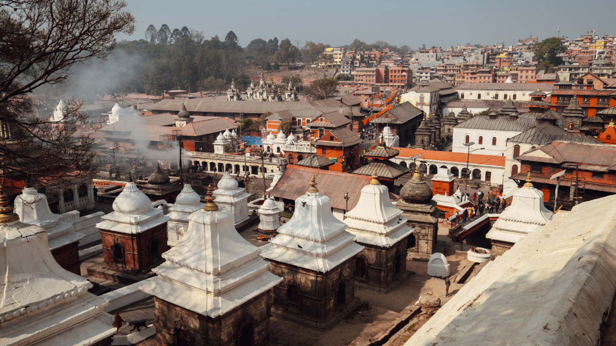 Pashupatinath, un site hindouiste dédié à Shiva